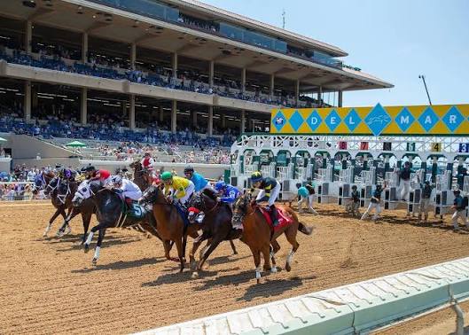 Thoroughbreds breaking from the gate at the Del Mar Race Track
